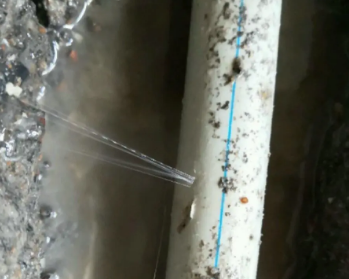 梅里斯卫生间测漏水多少钱