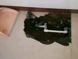 梅里斯卫生间测漏水多少钱